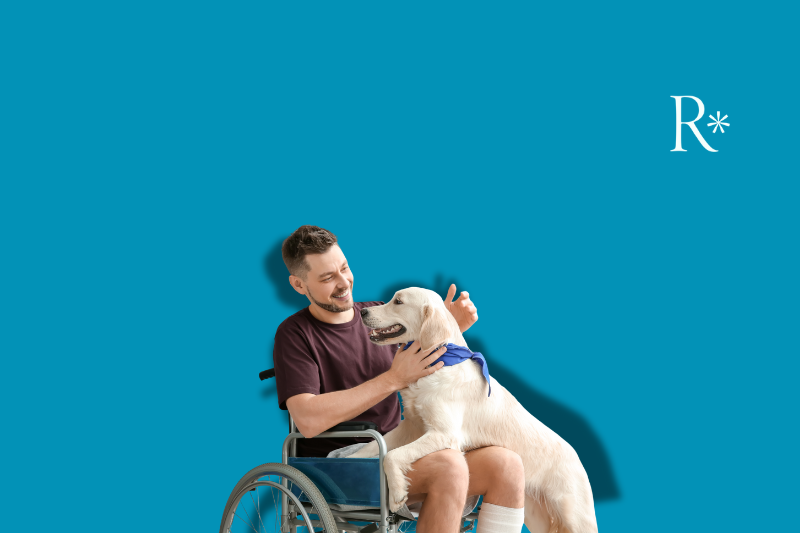 cane guida